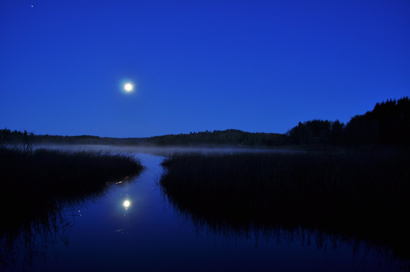 Природа ночью