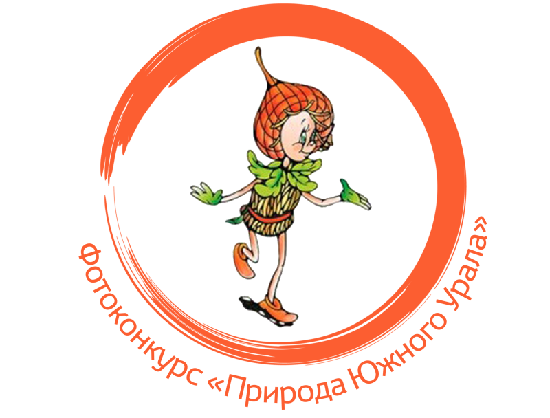 Картинка Эколята для дошкольников