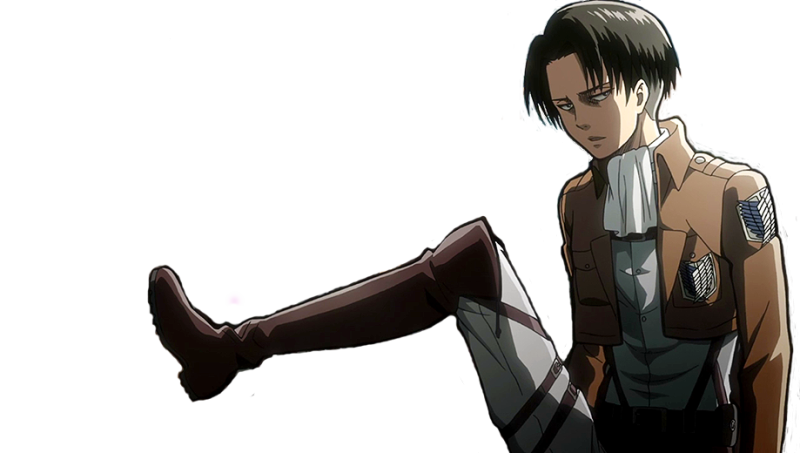 Леви Аккерман рост