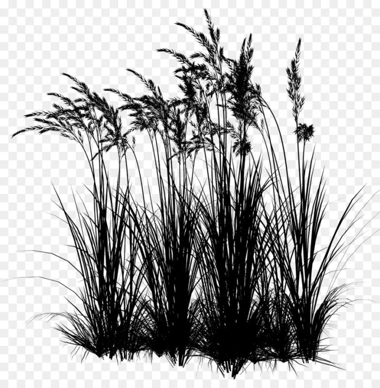 Трава силуэт