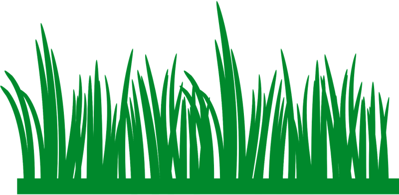 Трава рисунок