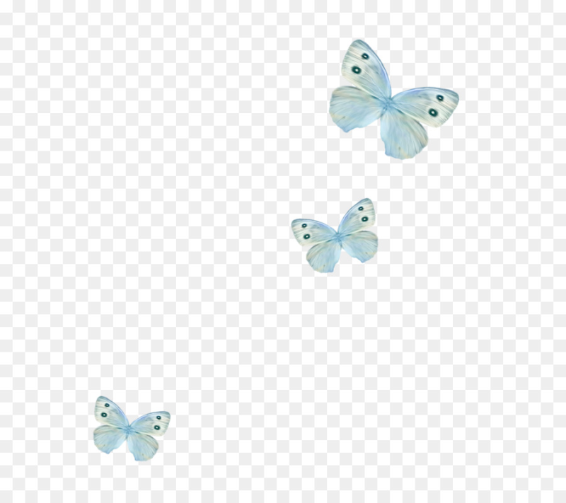 Бабочки нежно голубые
