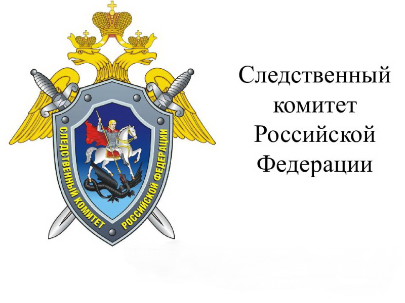 Следственный комитет России логотип