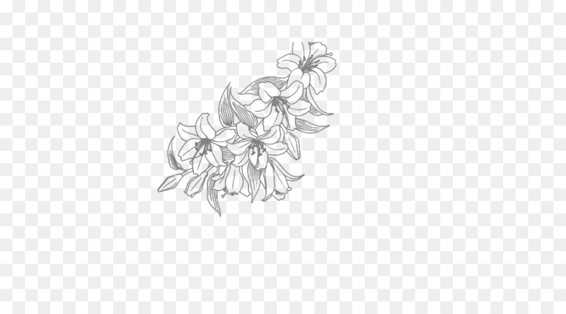 Черно-белый цветок