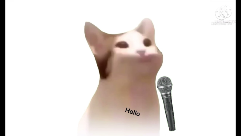 Мем кот с открытым ртом широко