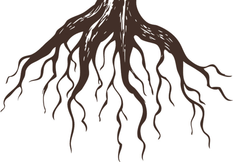 Дерево с корнями вектор