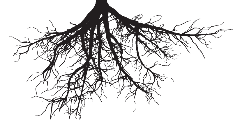 Силуэт дерева