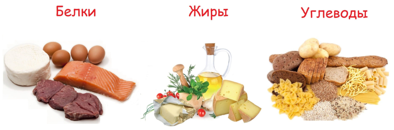 Рацион питания белки жиры углеводы