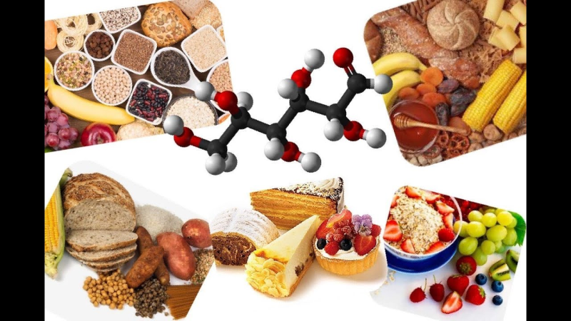 Углеводы в питании