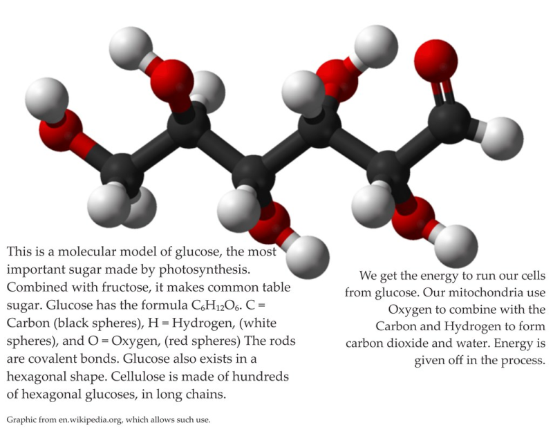 Глюкоза формула 3д