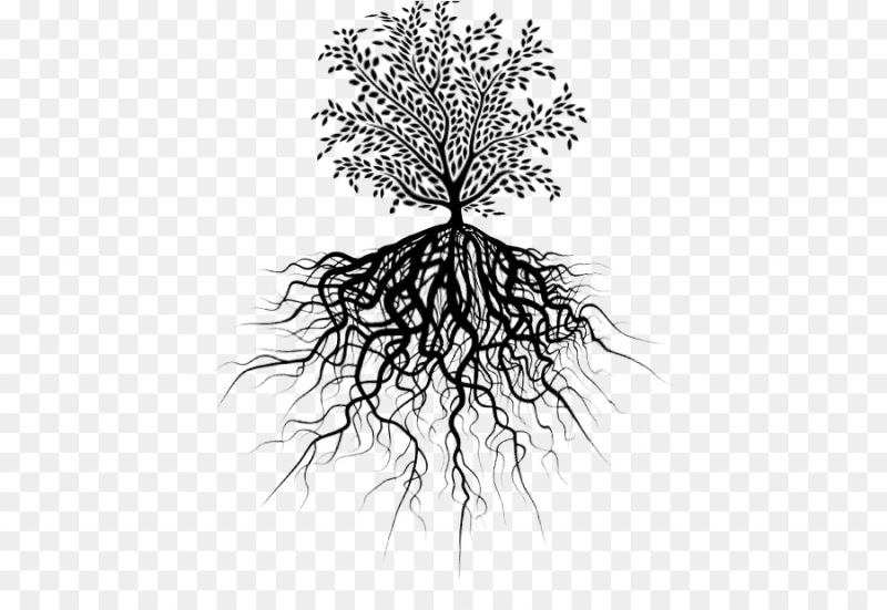 Дерево с корнями силуэт