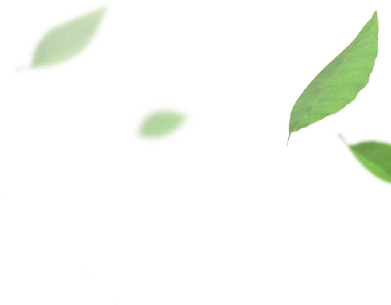 Летающие листья