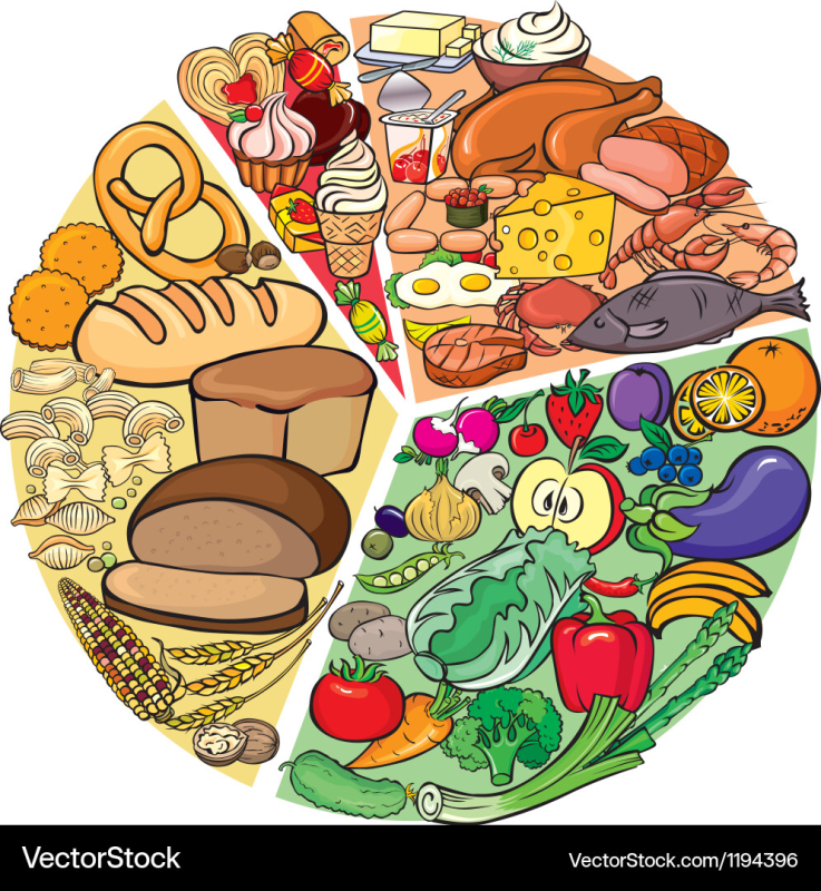 Иллюстрация продукты питания