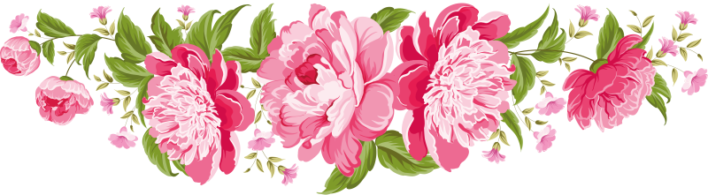 Розовые цветы на прозрачном фоне