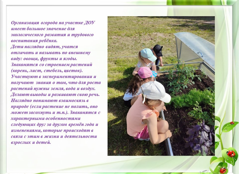 Разноцветные папки