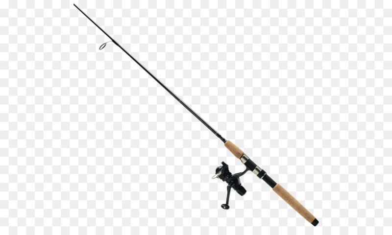 Удочка для рыбалки на прозрачном фоне