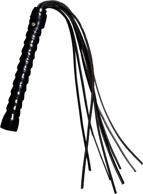 Плетка семихвостка