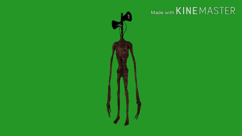 Персонажи на зеленом фоне