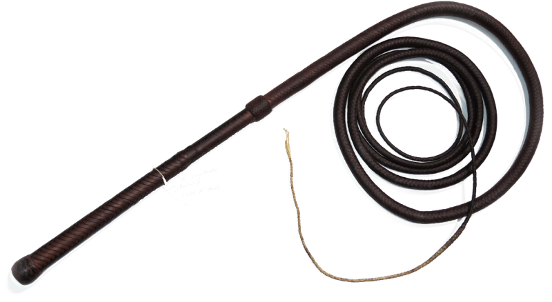 Хлыст для скота