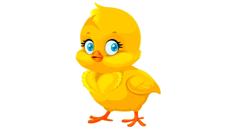 Цыплята мультяшные