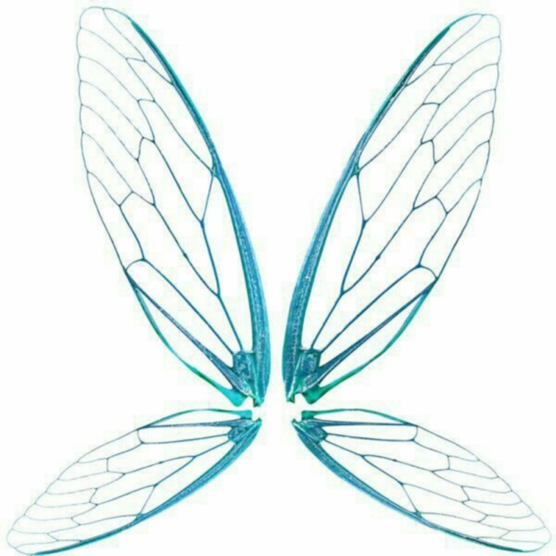 Крылышки феи