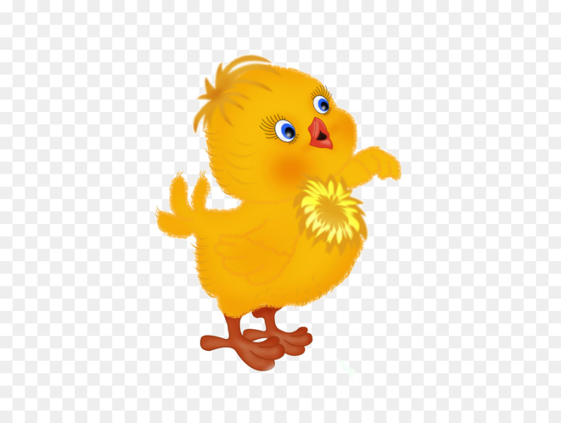 Цыпленок на прозрачном фоне