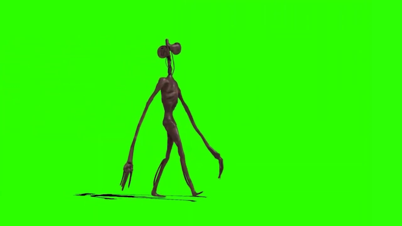 Сереноголововый хромакей