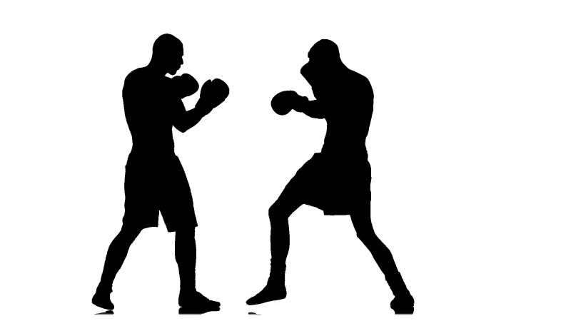 Тень боксера