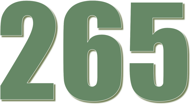 Цифра 65