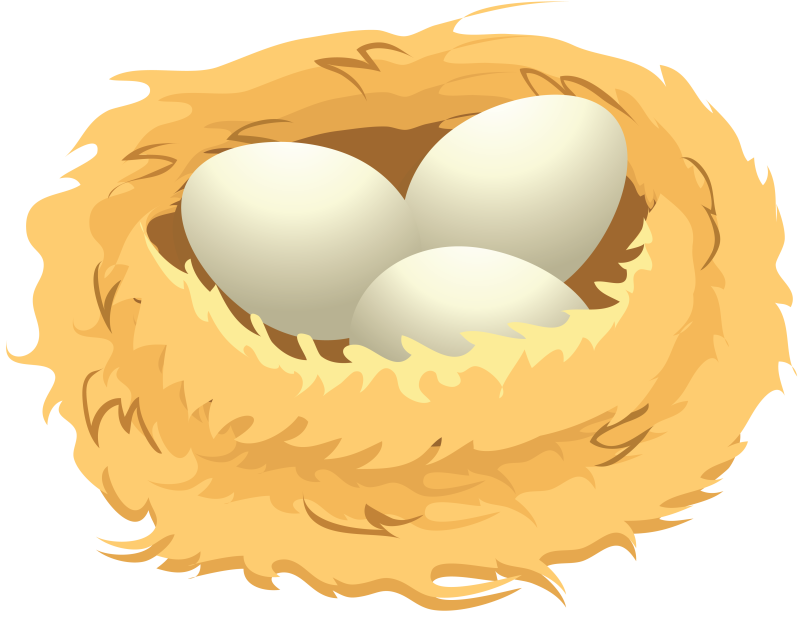 Куриные яйца в гнезде