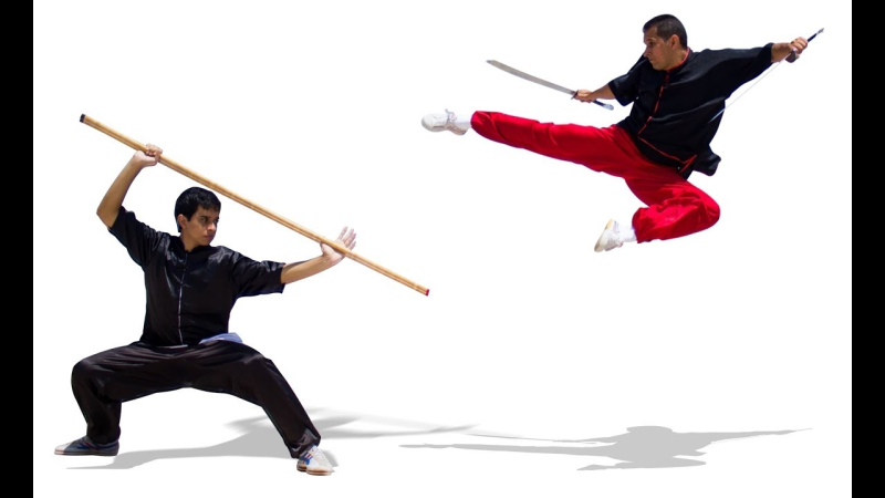 Таолу кунг фу