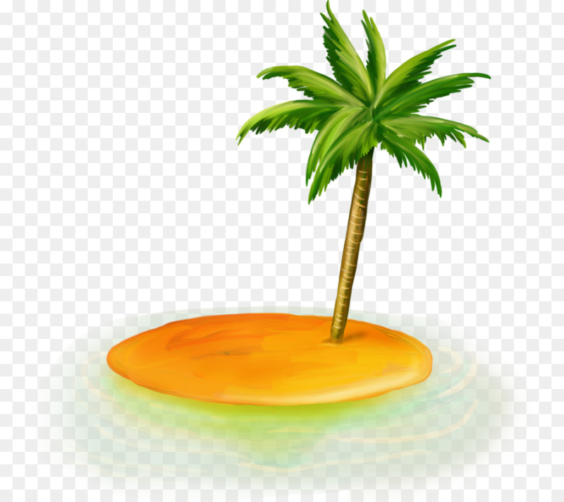 Пальма на белом фоне