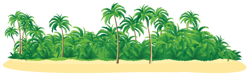 Клипарт Пальма на прозрачном фоне