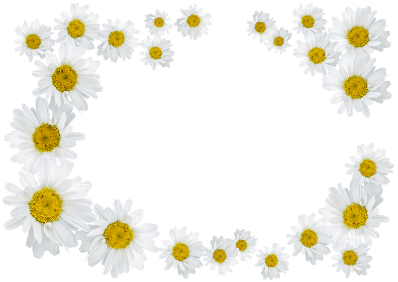 Фоторамка ромашки