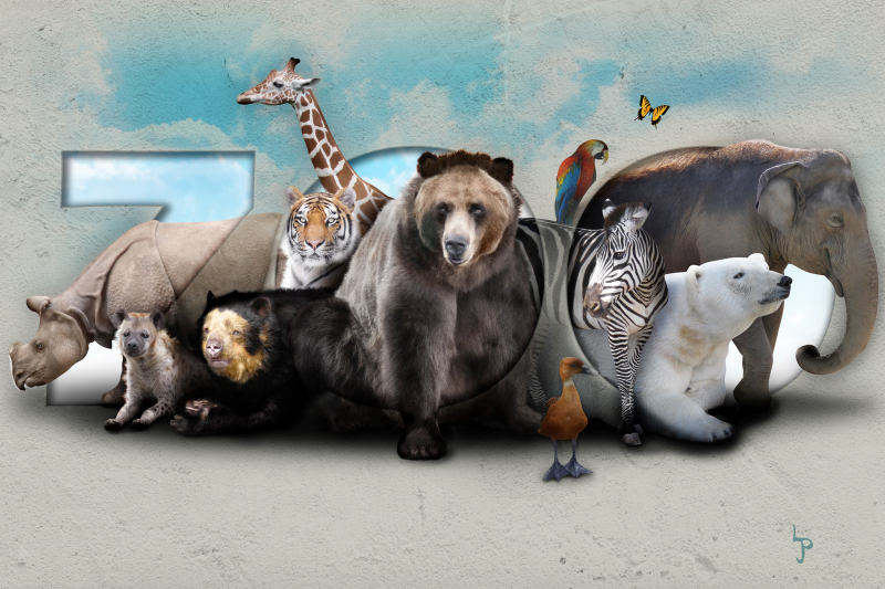 Фон животные и человек