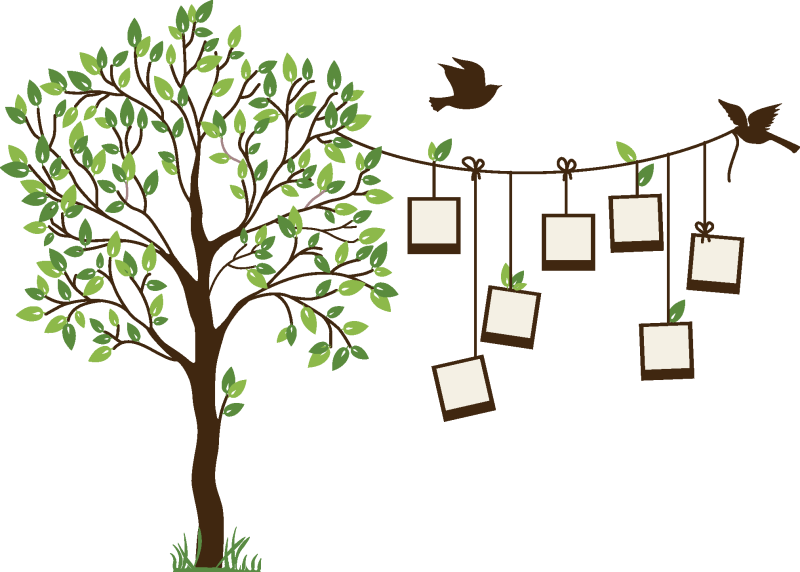 Дерево на прозрачном фоне