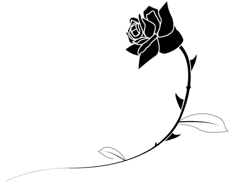 Черно-белый цветок