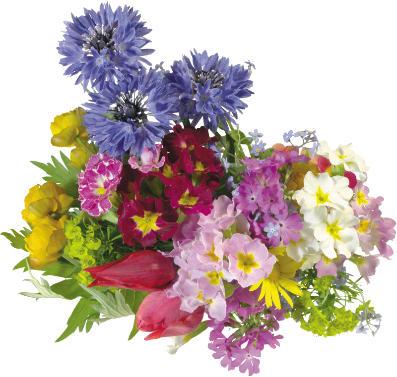 Летний букет