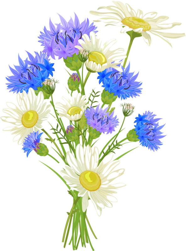 Букет полевых цветов