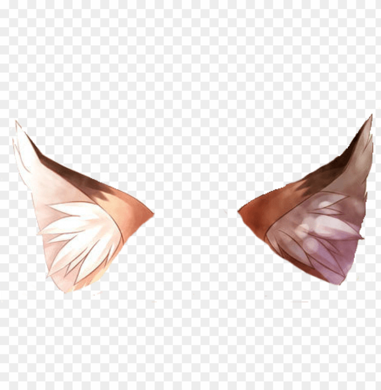 Лисьи ушки без фона