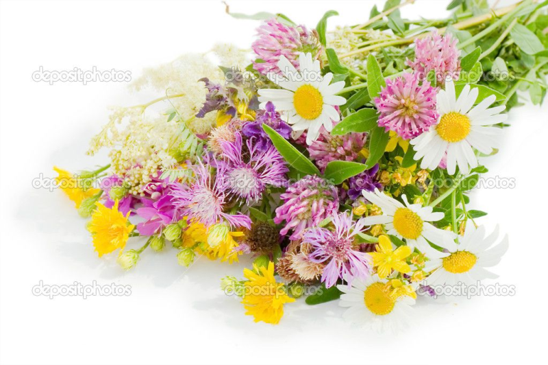 Летний букет на прозрачном фоне