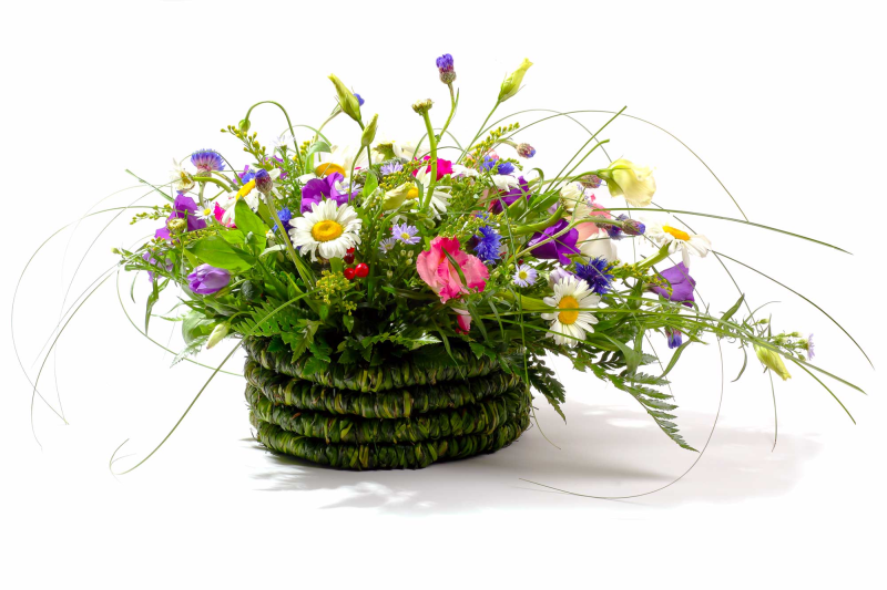 Полевые цветы в корзинке