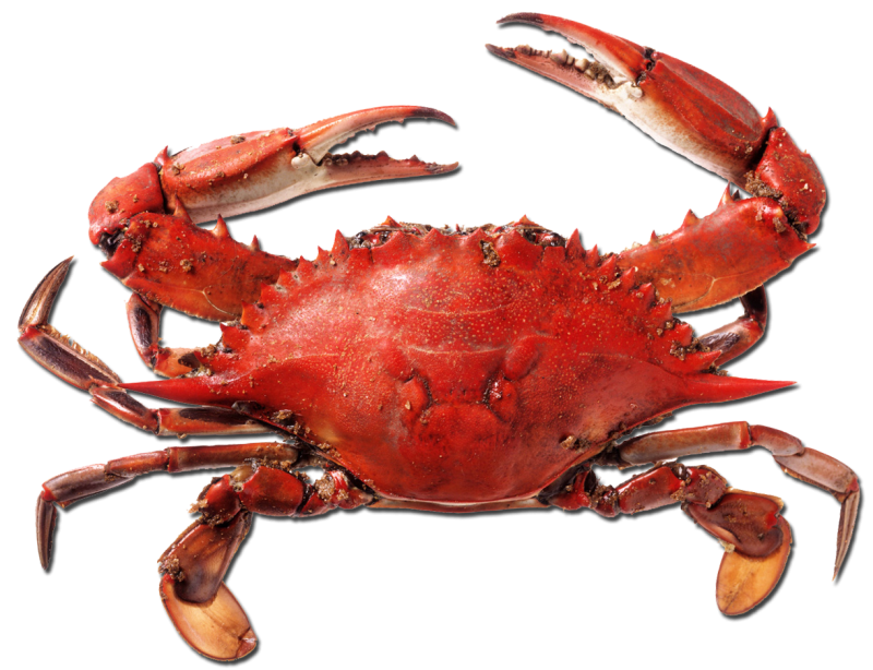 Крабы хэйкэгани