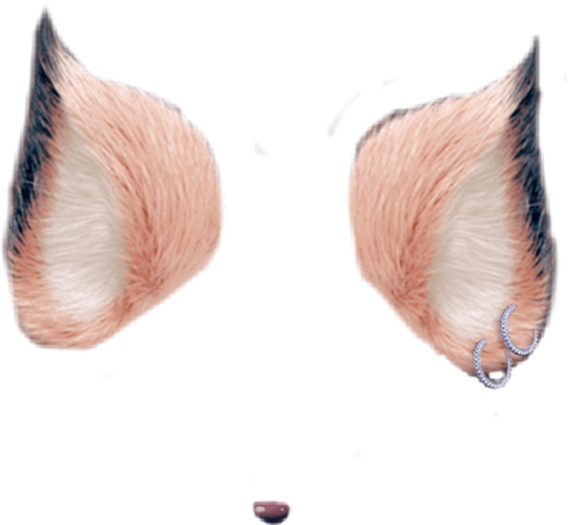 Лисьи уши на белом фоне