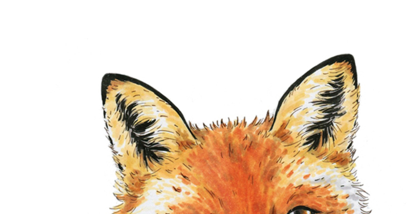 Лиса рисунок