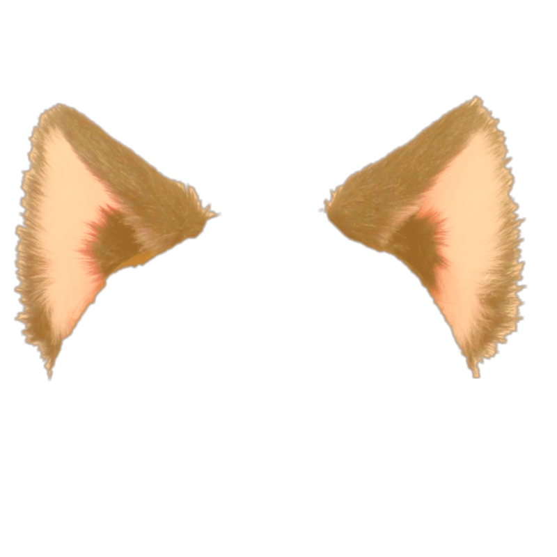 Уши кота без фона