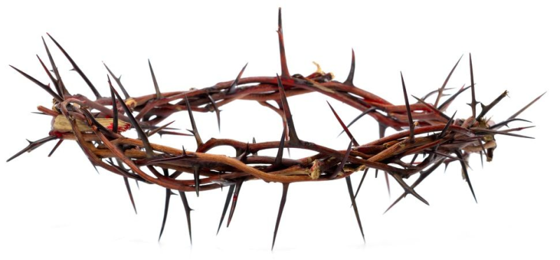 Терновый венец Иисуса Христа