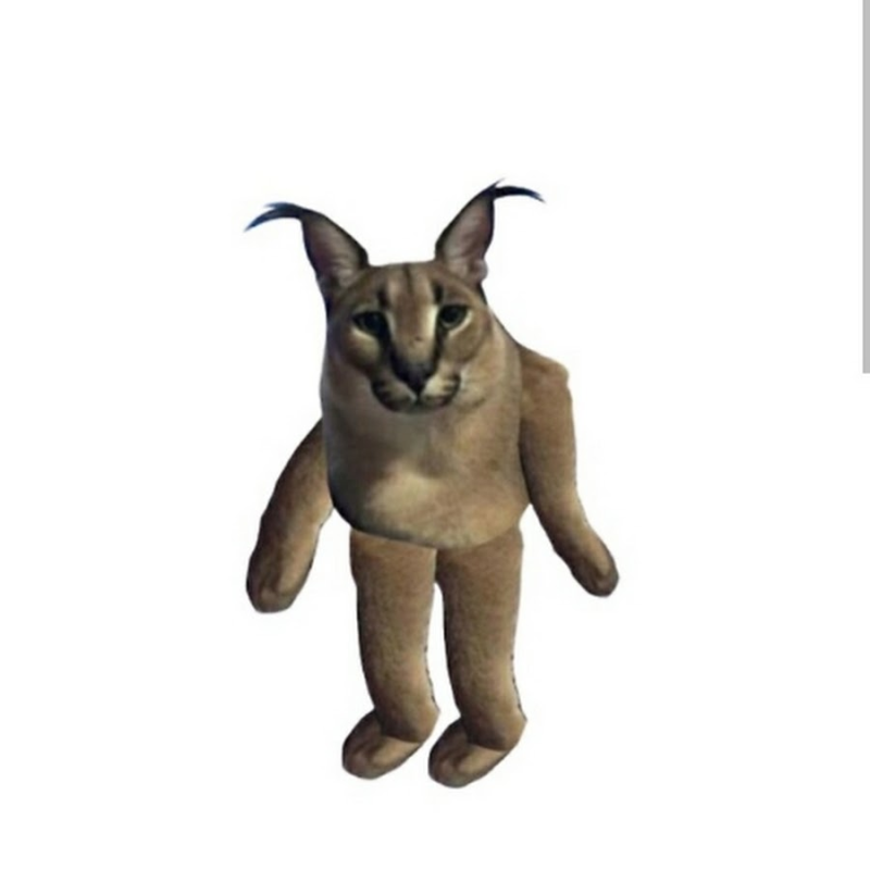 Шлёпа кот