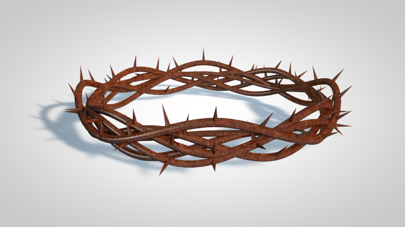 Терновый венец Иисуса Христа