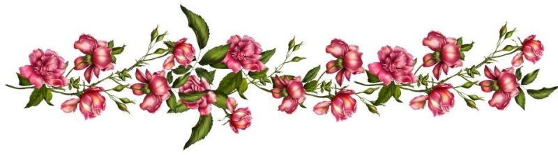 Цветы горизонтальные